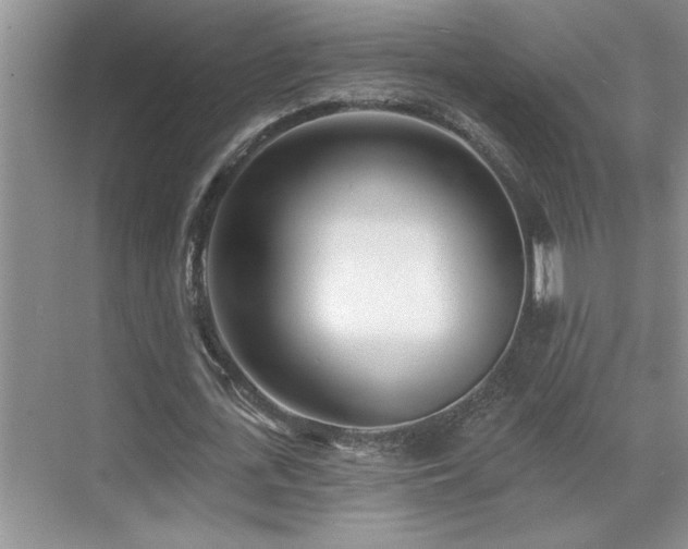 X0000071820723200606301252
