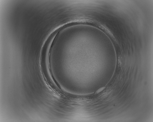 X0000071820724200606301252