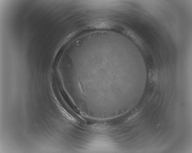 X0000071820725200606301252