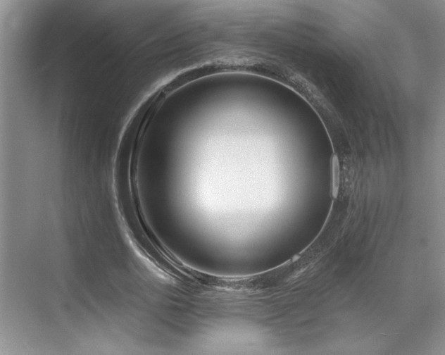 X0000071820726200606301252