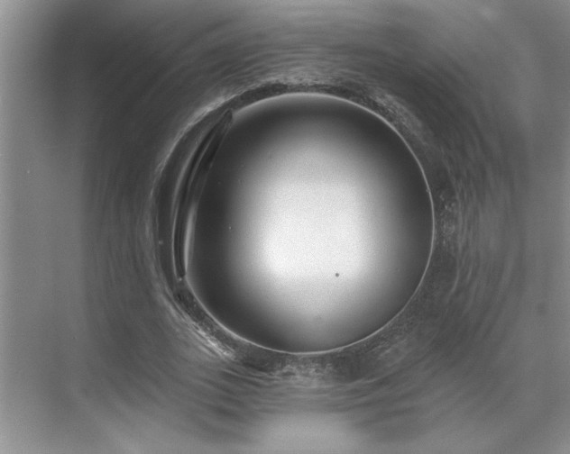 X0000071820727200606301252