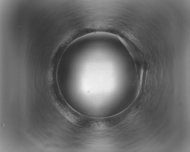 X0000071820735200606301252