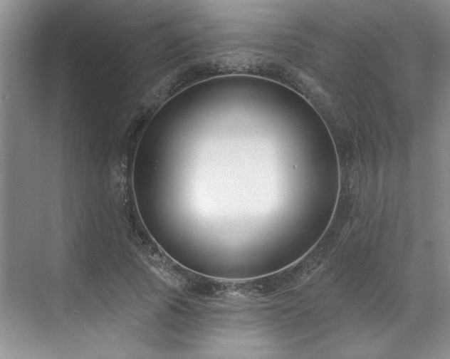 X0000071820737200606301252