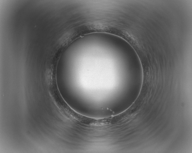 X0000071820739200606301252