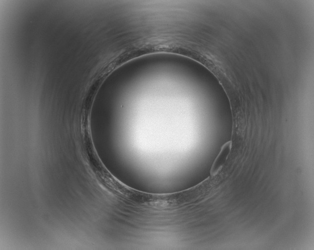 X0000071820740200606301252