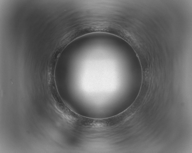 X0000071820741200606301252