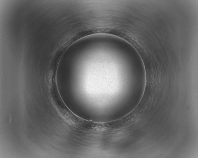 X0000071820742200606301252