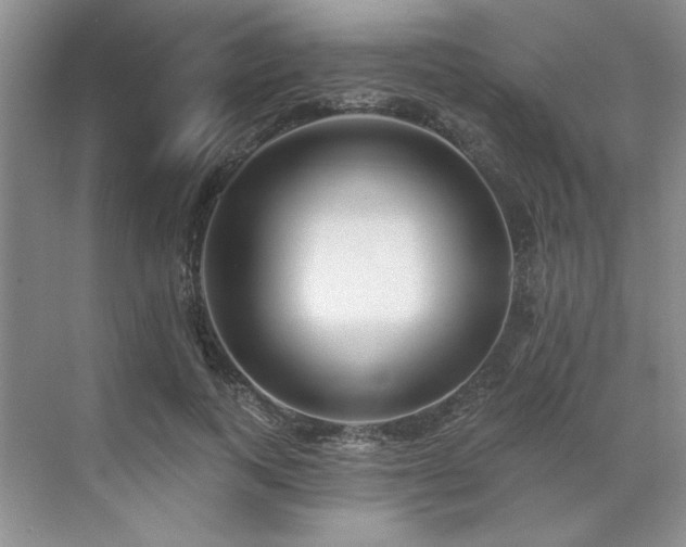 X0000071820743200606301252