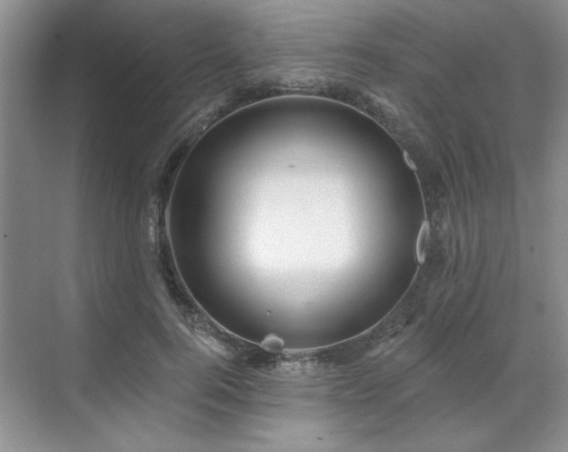 X0000071820744200606301252