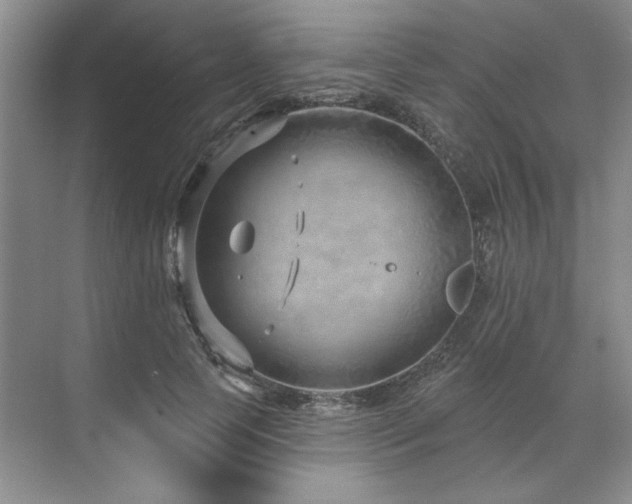 X0000071820745200606301252