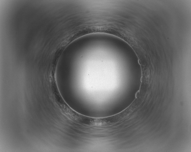 X0000071820746200606301252