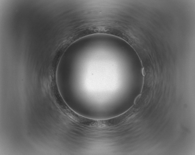 X0000071820747200606301252