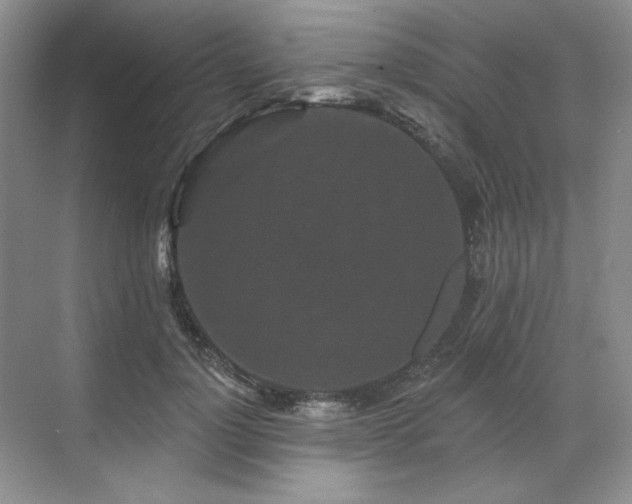 X0000071820748200606301252