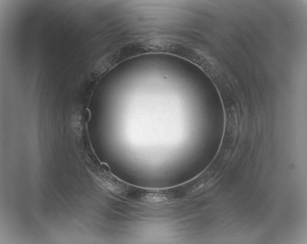 X0000071820749200606301252