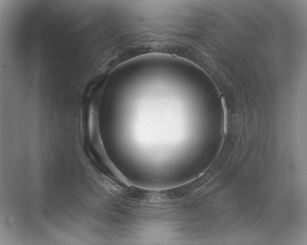 X0000071820750200606301252