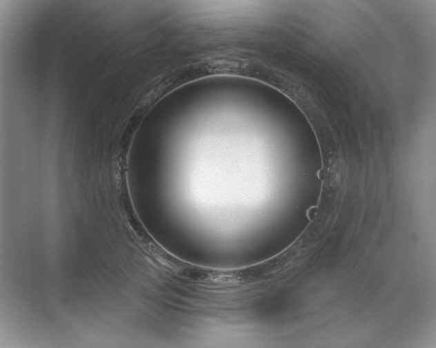 X0000071820753200606301252
