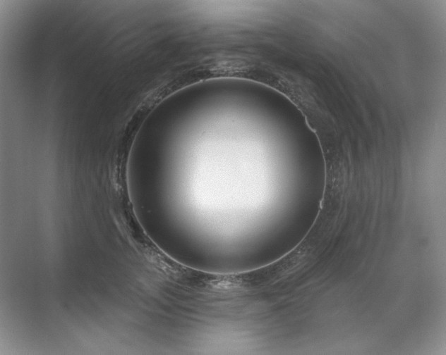 X0000071820755200606301252