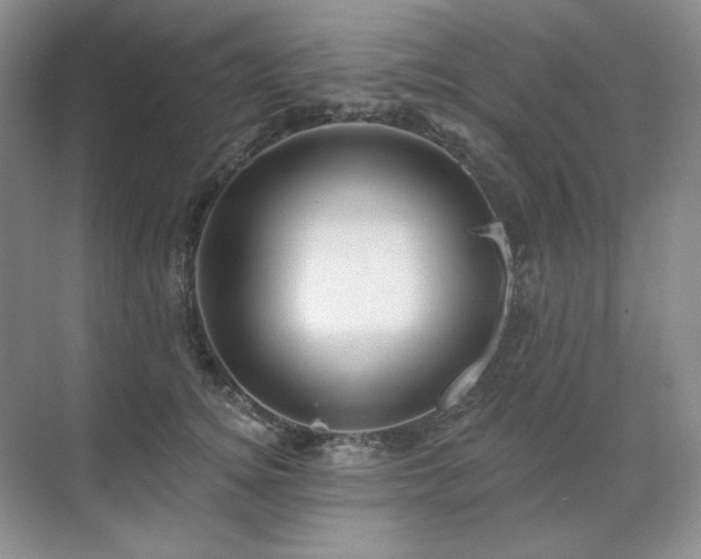 X0000071820756200606301252