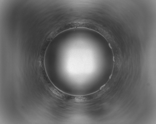 X0000071820758200606301252