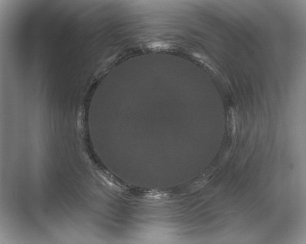 X0000071820760200606301252