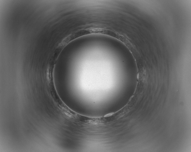 X0000071820763200606301252