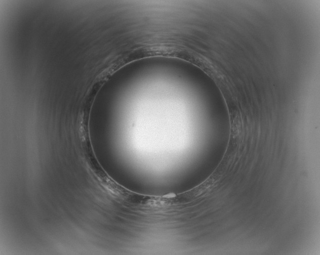 X0000071820764200606301252