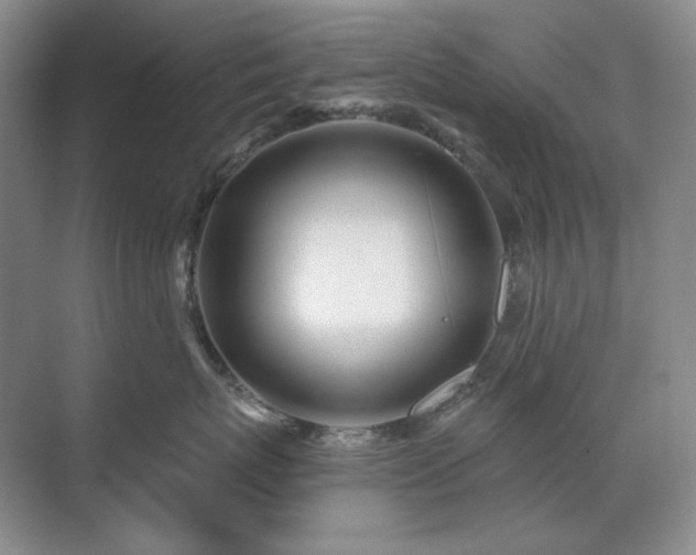 X0000071820767200606301253