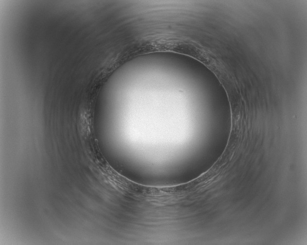 X0000071820772200606301252