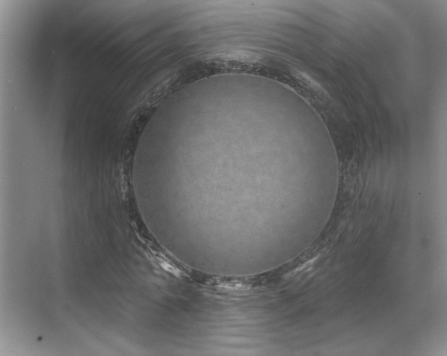 X0000071820774200606301252