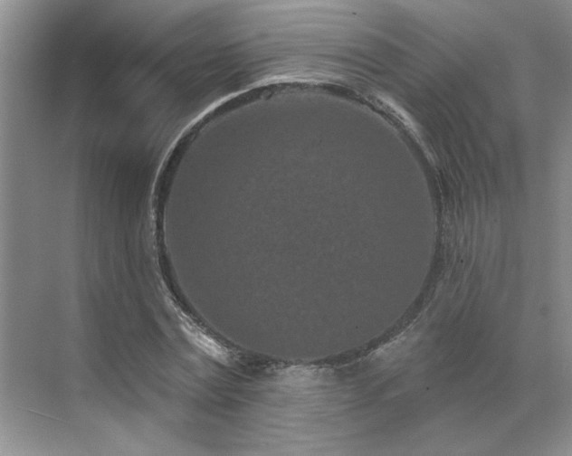 X0000071820779200606301252