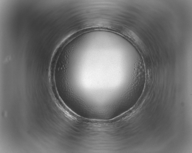 X0000071820780200606301252