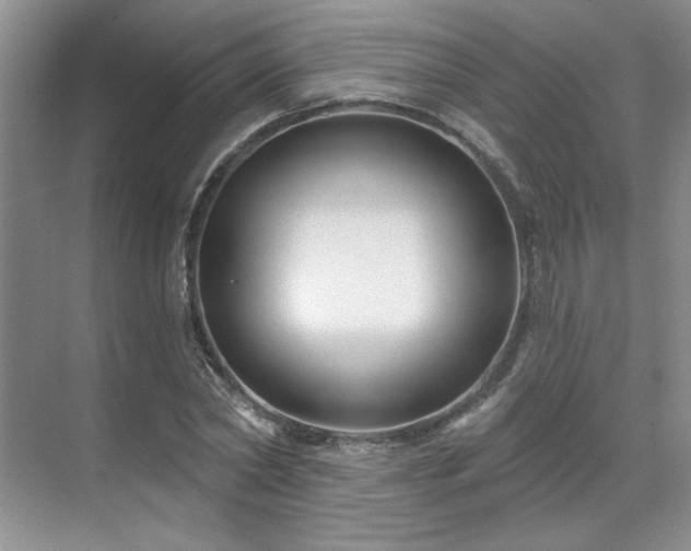 X0000071820782200606301252