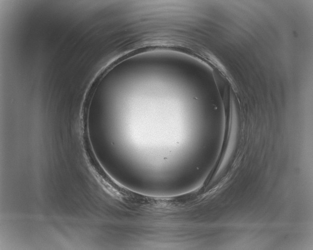 X0000071820787200606301251