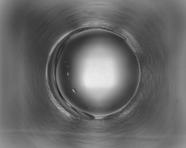 X0000071820788200606301251