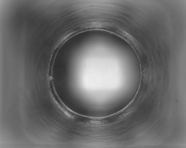 X0000071820794200606301251