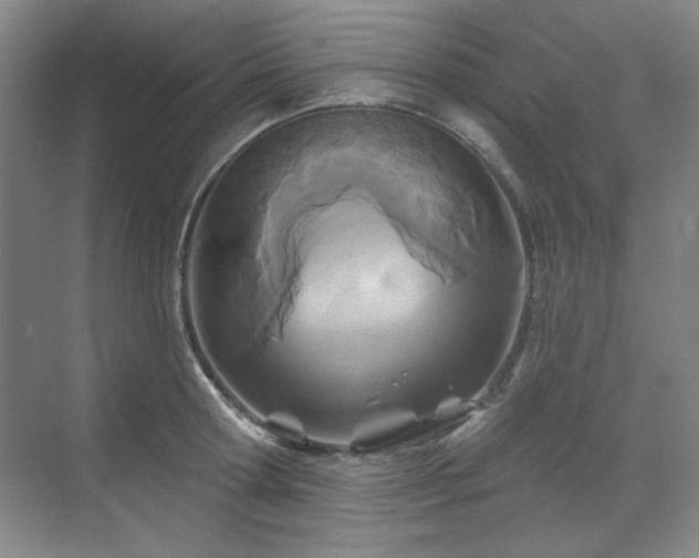 X0000071820802200606301251
