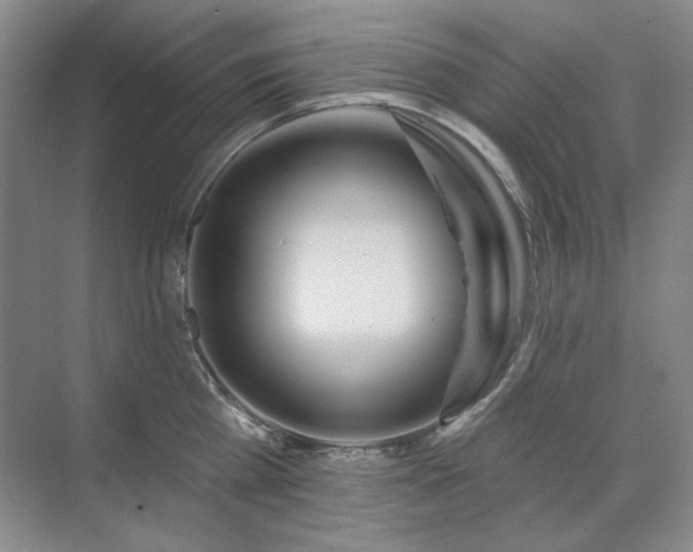 X0000071820809200606301251