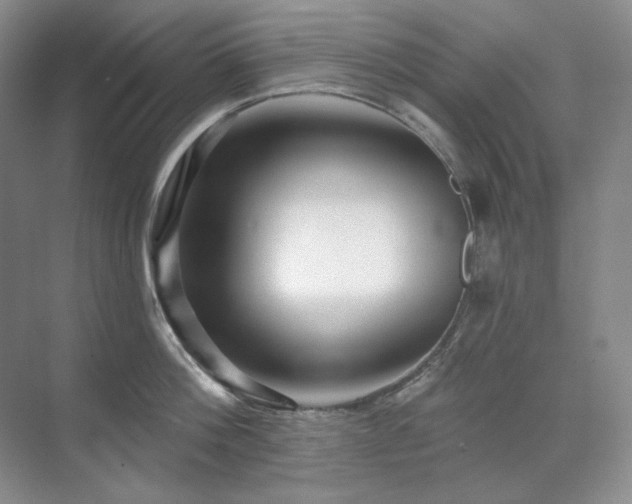X0000071820812200606301251