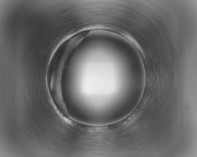 X0000071820813200606301251