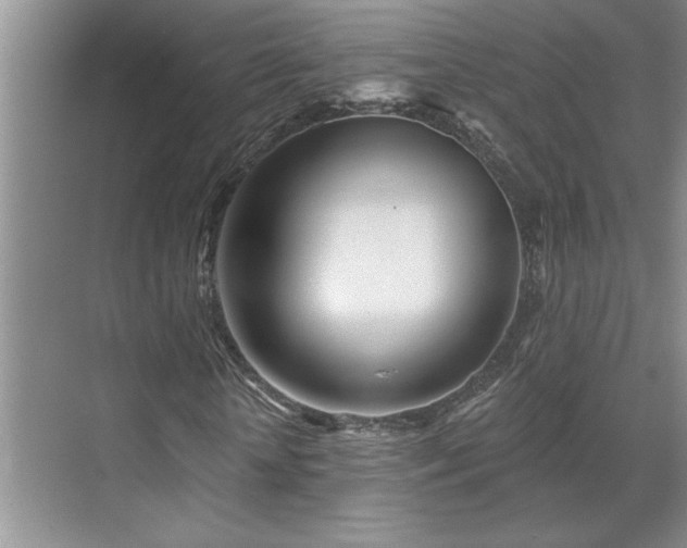 X0000071820818200606301250