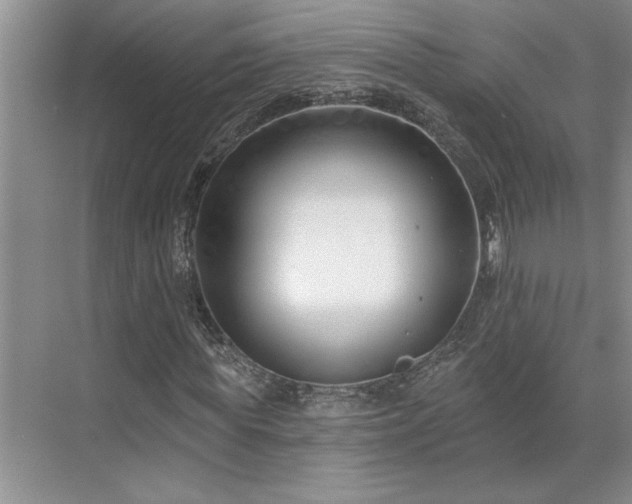 X0000071820819200606301250