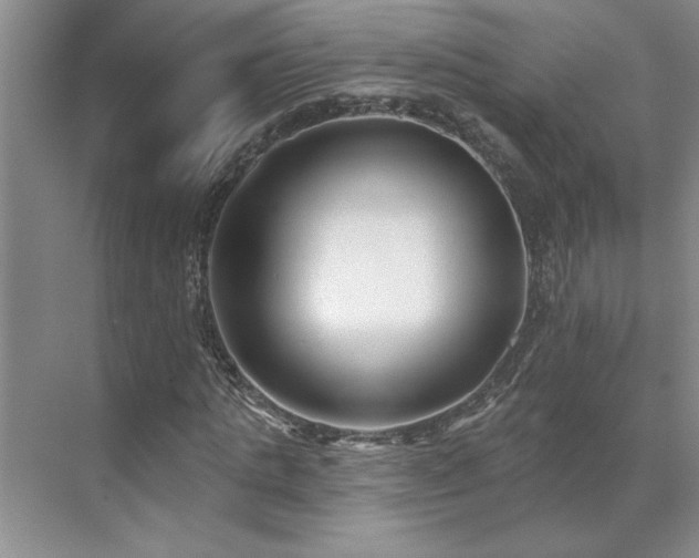 X0000071820821200606301250
