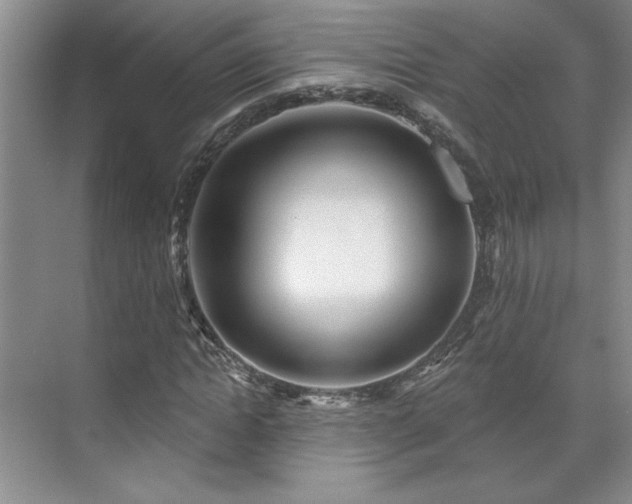 X0000071820822200606301250