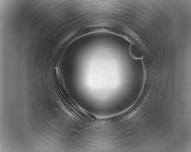 X0000071820826200606301250