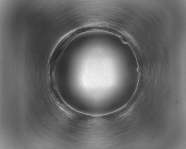 X0000071820830200606301250