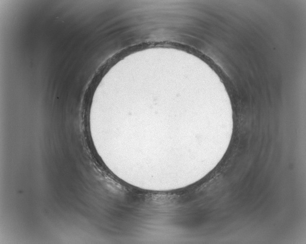 X0000071820832200606301250