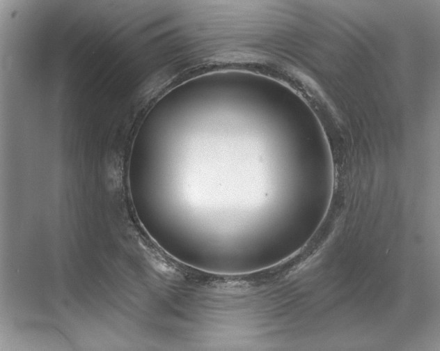 X0000071820833200606301250