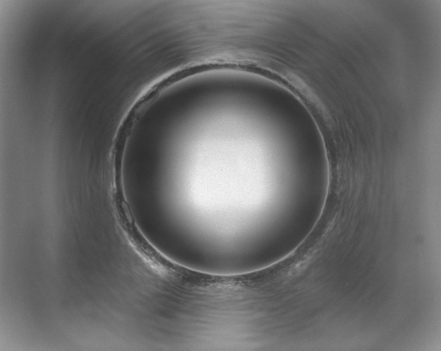 X0000071820838200606301250