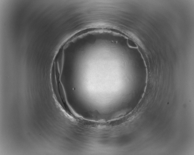 X0000071820839200606301250