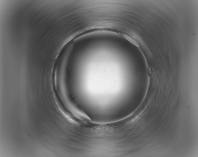 X0000071820842200606301251